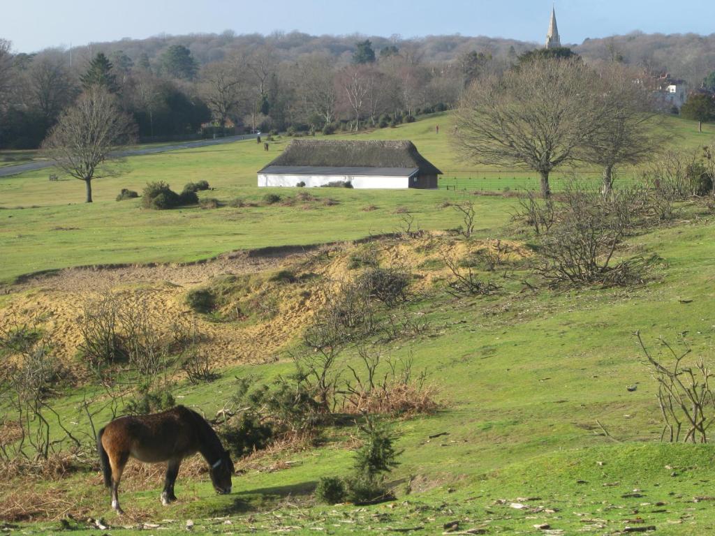 Whitemoor House