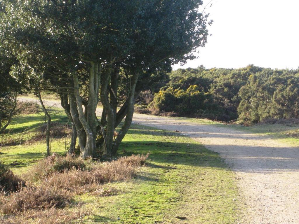 Whitemoor House Bed & Breakfast