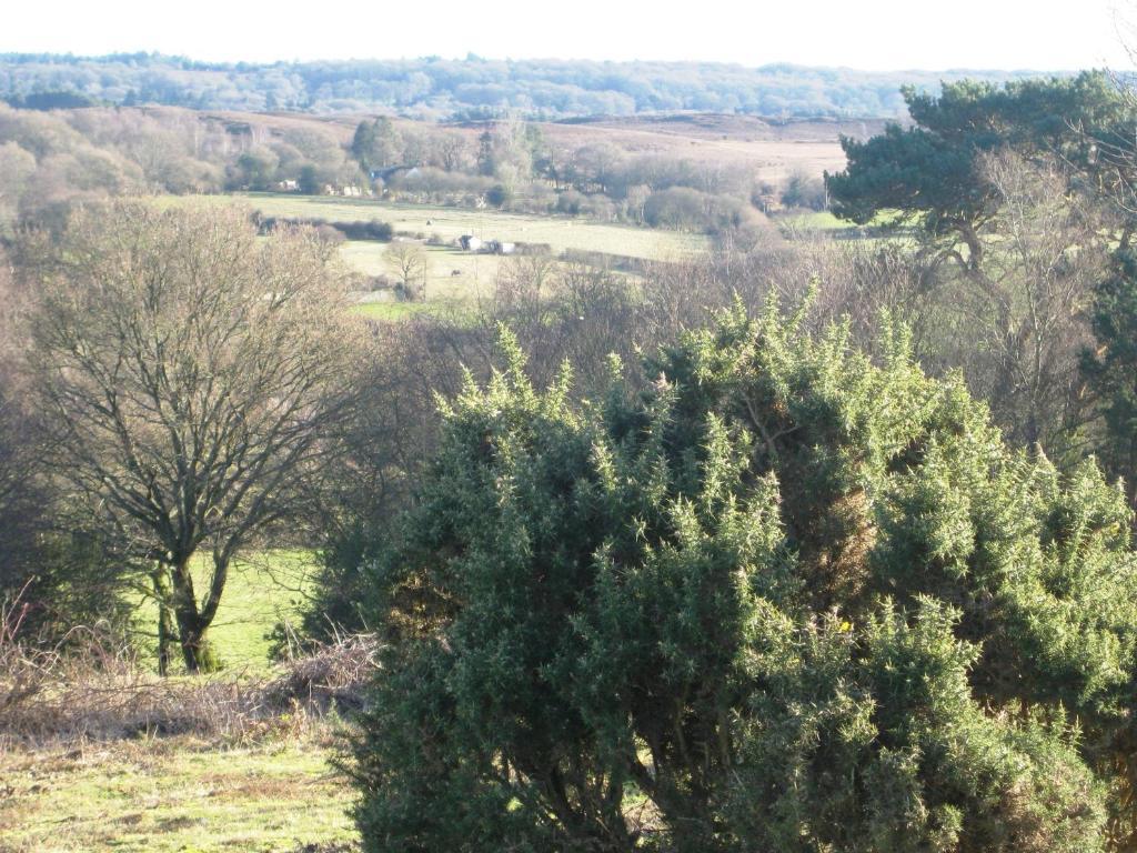 Whitemoor House 4* Lyndhurst